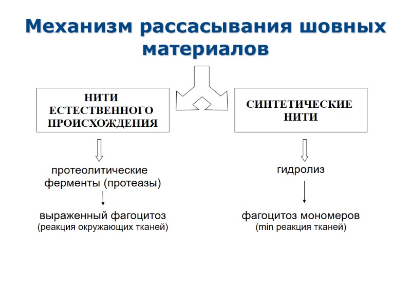 Механизм рассасывания шовных материалов НИТИ  ЕСТЕСТВЕННОГО  ПРОИСХОЖДЕНИЯ фагоцитоз мономеров (min реакция тканей)